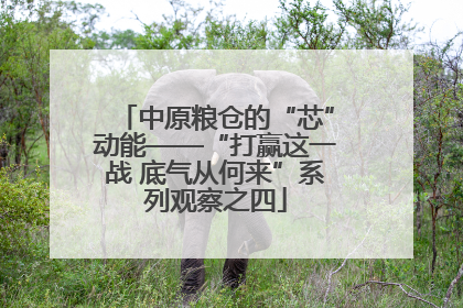 中原粮仓的“芯”动能——“打赢这一战 底气从何来”系列观察之四