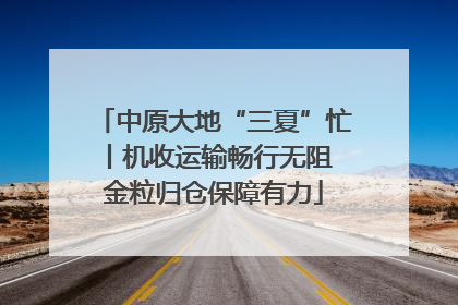 中原大地“三夏”忙丨机收运输畅行无阻 金粒归仓保障有力