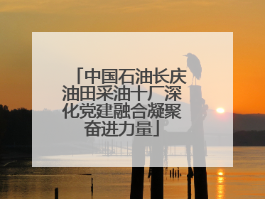 中国石油长庆油田采油十厂深化党建融合凝聚奋进力量