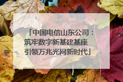 中国电信山东公司：筑牢数字新基建基座 引领万兆光网新时代