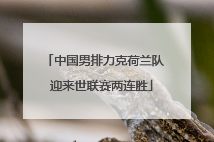 中国男排力克荷兰队 迎来世联赛两连胜