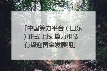 中国算力平台（山东）正式上线 算力租赁有望迎黄金发展期