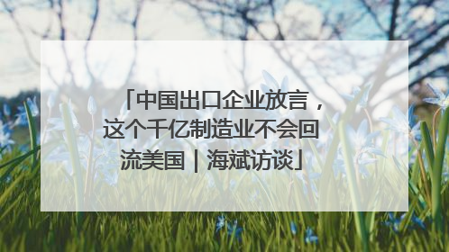 中国出口企业放言，这个千亿制造业不会回流美国｜海斌访谈