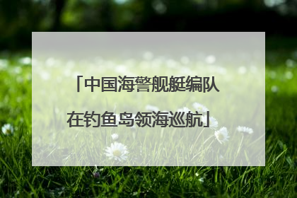 中国海警舰艇编队在钓鱼岛领海巡航
