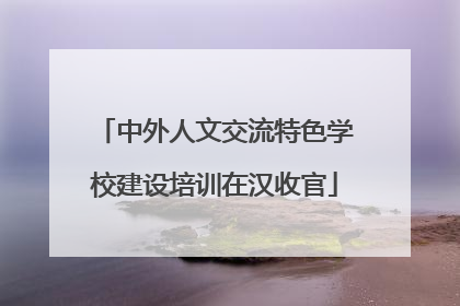 中外人文交流特色学校建设培训在汉收官