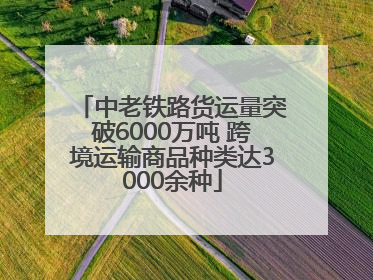 中老铁路货运量突破6000万吨 跨境运输商品种类达3000余种
