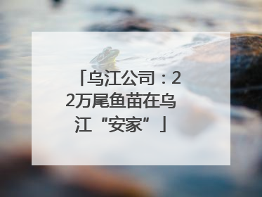 乌江公司：22万尾鱼苗在乌江“安家”