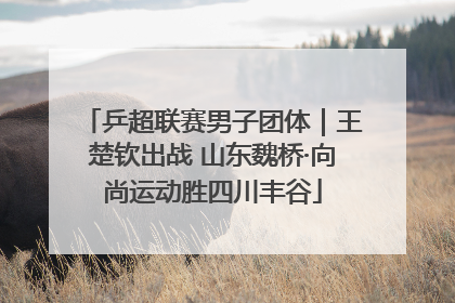 乒超联赛男子团体｜王楚钦出战 山东魏桥·向尚运动胜四川丰谷