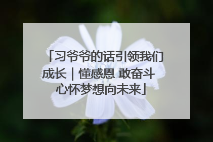 习爷爷的话引领我们成长｜懂感恩 敢奋斗 心怀梦想向未来