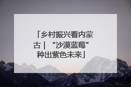 乡村振兴看内蒙古｜“沙漠蓝莓”种出紫色未来