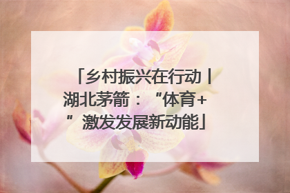 乡村振兴在行动丨湖北茅箭：“体育+”激发发展新动能