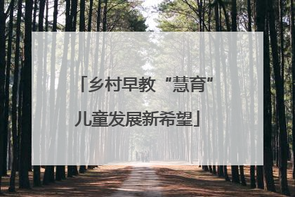 乡村早教“慧育”儿童发展新希望