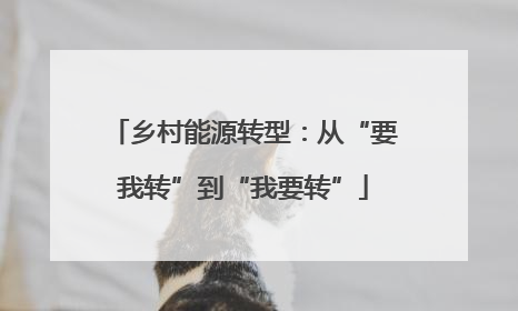 乡村能源转型：从“要我转”到“我要转”