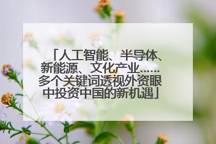 人工智能、半导体、新能源、文化产业……多个关键词透视外资眼中投资中国的新机遇
