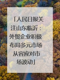 人民日报关注山东临沂：外贸企业积极布局多元市场 从容应对市场波动