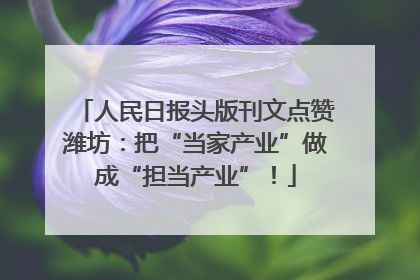人民日报头版刊文点赞潍坊：把“当家产业”做成“担当产业”！