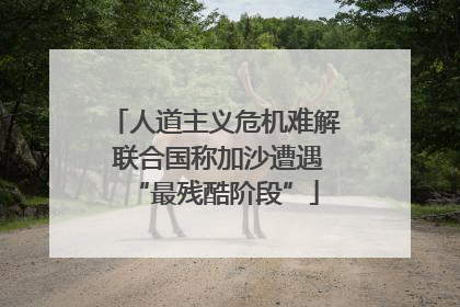 人道主义危机难解 联合国称加沙遭遇“最残酷阶段”