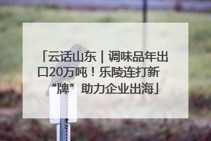 云话山东｜调味品年出口20万吨！乐陵连打新“牌”助力企业出海