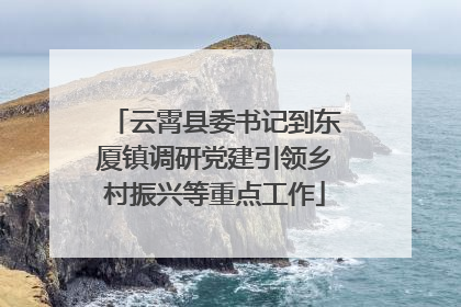 云霄县委书记到东厦镇调研党建引领乡村振兴等重点工作