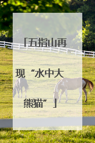 五指山再现“水中大熊猫”