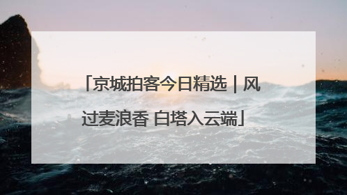 京城拍客今日精选｜风过麦浪香 白塔入云端