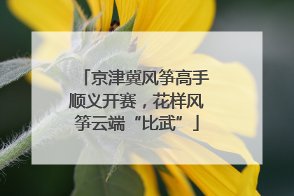 京津冀风筝高手顺义开赛，花样风筝云端“比武”