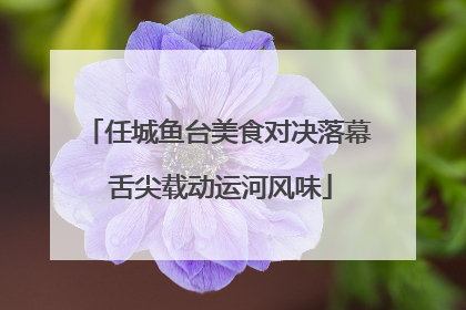 任城鱼台美食对决落幕 舌尖载动运河风味