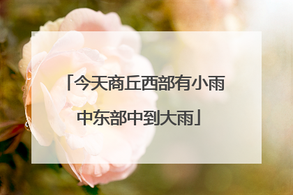 今天商丘西部有小雨 中东部中到大雨