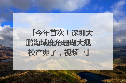 今年首次！深圳大鹏海域鹿角珊瑚大规模产卵了，视频→