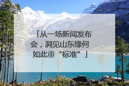 从一场新闻发布会，洞见山东缘何如此重“标准”