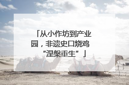 从小作坊到产业园，非遗史口烧鸡“涅槃重生”