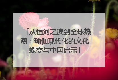 从恒河之滨到全球热潮：瑜伽现代化的文化蝶变与中国启示