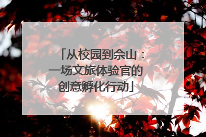 从校园到佘山：一场文旅体验官的创意孵化行动