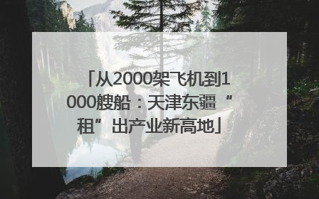 从2000架飞机到1000艘船：天津东疆“租”出产业新高地