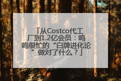 从Costco代工厂到1.2亿会员：鸣鸣很忙的“白牌进化论”做对了什么？