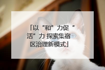 以“和”力促“活”力 探索集宿区治理新模式