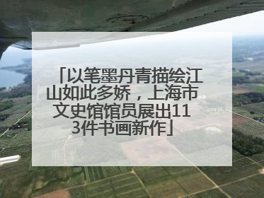 以笔墨丹青描绘江山如此多娇，上海市文史馆馆员展出113件书画新作