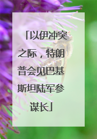 以伊冲突之际，特朗普会见巴基斯坦陆军参谋长