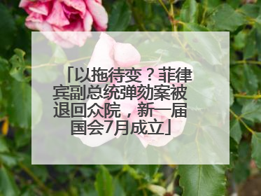 以拖待变？菲律宾副总统弹劾案被退回众院，新一届国会7月成立