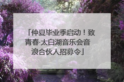 仲夏毕业季启动！致青春·太白湖音乐会音浪合伙人招募令