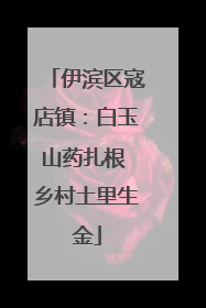 伊滨区寇店镇：白玉山药扎根 乡村土里生金