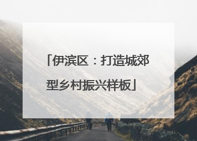 伊滨区：打造城郊型乡村振兴样板
