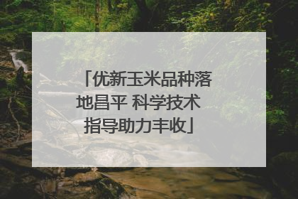 优新玉米品种落地昌平 科学技术指导助力丰收