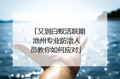 又到白蚁活跃期 池州专业防治人员教你如何应对