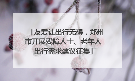 友爱让出行无碍，郑州市开展残障人士、老年人出行需求建议征集