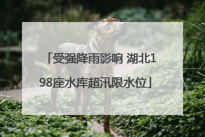 受强降雨影响 湖北198座水库超汛限水位