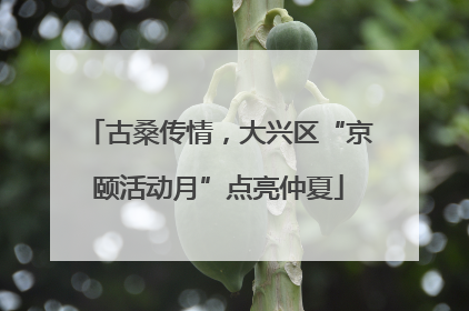 古桑传情，大兴区“京颐活动月”点亮仲夏