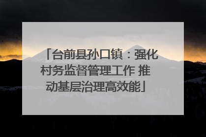 台前县孙口镇：强化村务监督管理工作 推动基层治理高效能
