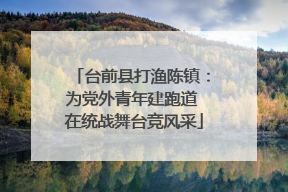 台前县打渔陈镇：为党外青年建跑道 在统战舞台竞风采