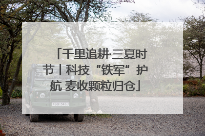 千里追耕·三夏时节丨科技“铁军”护航 麦收颗粒归仓